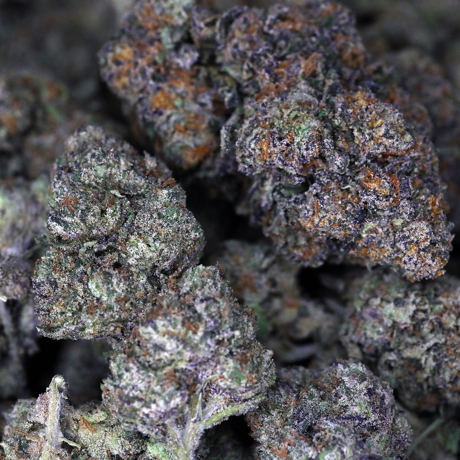 Lemon Cherry Gelato THCa Flower - Image 2